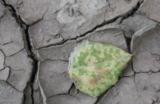 # 38 cracks in dry earth AnnMarie Brown