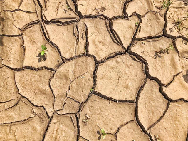 38-Cracks in Dry Earth Pattern-CJJ-2
